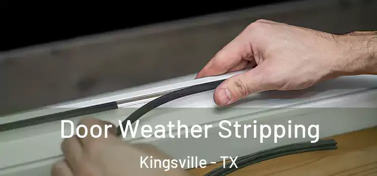  Door Weather Stripping Kingsville - TX