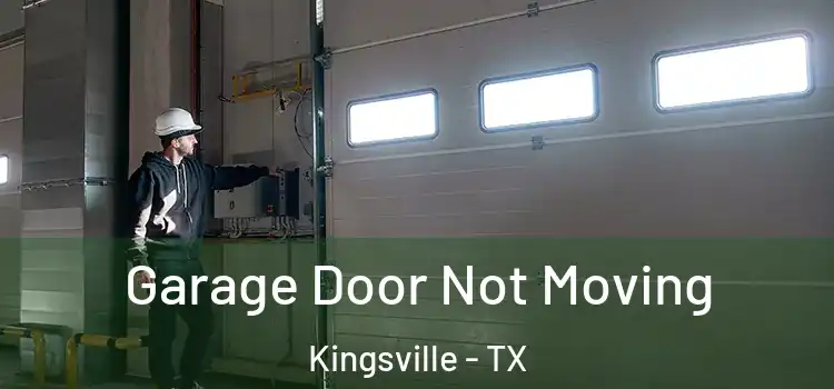  Garage Door Not Moving Kingsville - TX