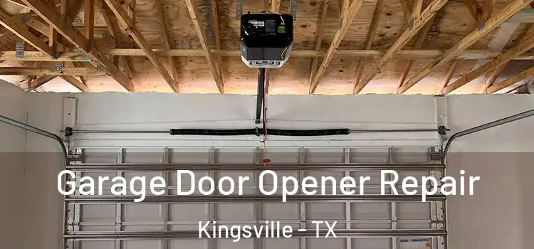  Garage Door Opener Repair Kingsville - TX