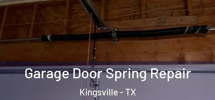  Garage Door Spring Repair Kingsville - TX