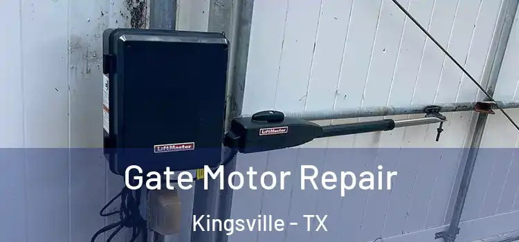 Gate Motor Repair Kingsville - TX