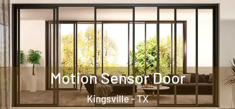 Motion Sensor Door Kingsville - TX